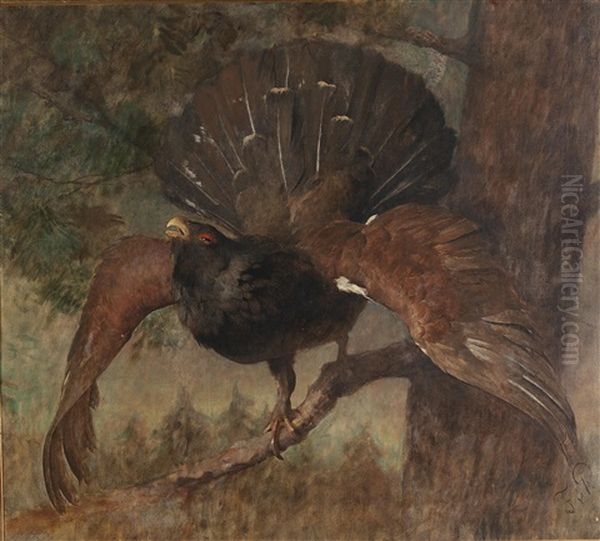 Wood Grouse Oil Painting by Franz Xaver von Pausinger