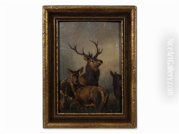 Deer, Hind And Calf Oil Painting by Franz Xaver von Pausinger