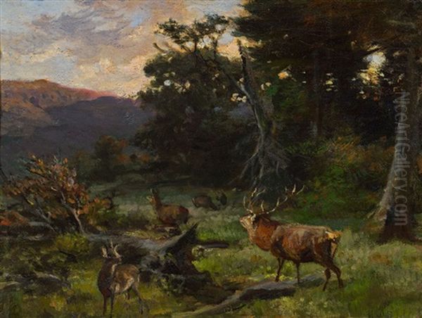 Waldlichtung Mit Rotwild Oil Painting by Franz Xaver von Pausinger