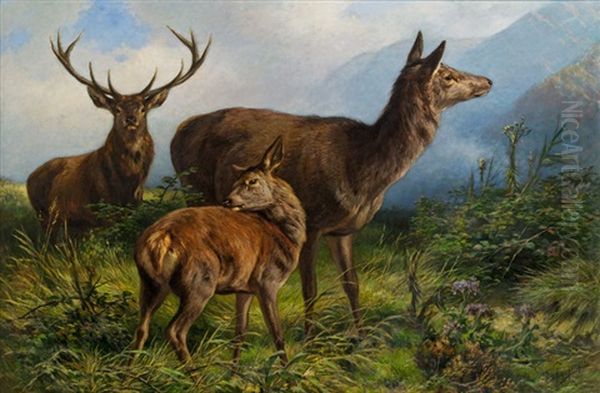 Hirsch Mit Hirschkuh Und Kalb Oil Painting by Franz Xaver von Pausinger