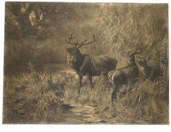 Ein Hirsch Und Zwei Hirschkuhe Im Wald Oil Painting by Franz Xaver von Pausinger