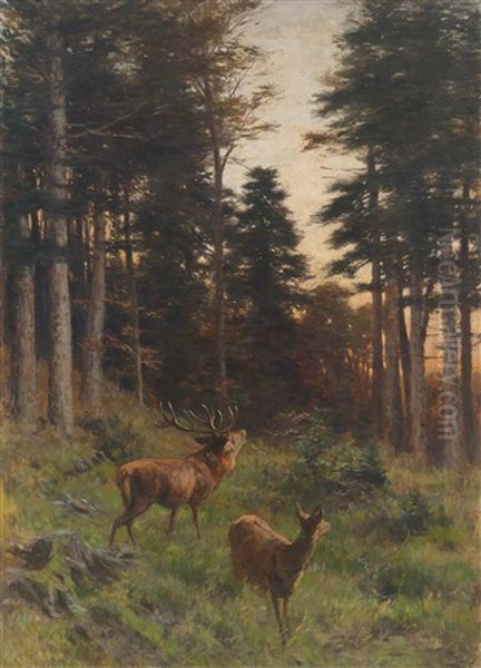 Rotwild In Der Abenddammerung Oil Painting by Franz Xaver von Pausinger