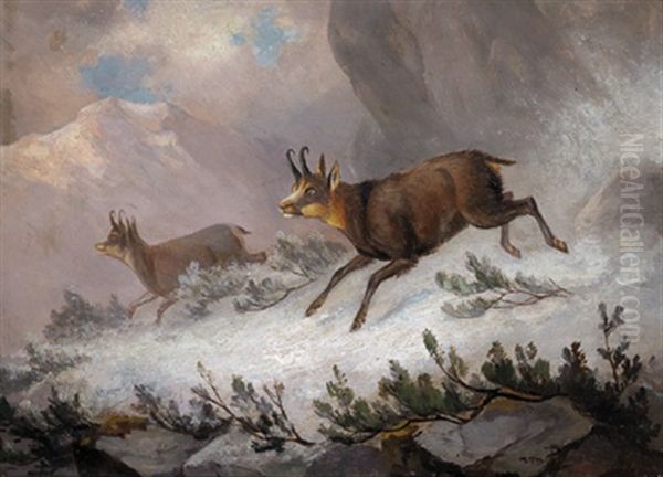 Zwei Gemsen Im Hochgebirge Oil Painting by Franz Xaver von Pausinger