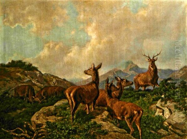 Hirsche Und Rehe Im Gebirge Oil Painting by Franz Xaver von Pausinger