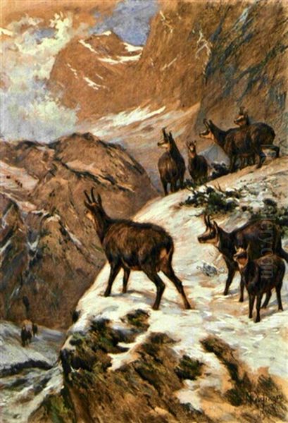 Gemsen Im Gebirge Oil Painting by Franz Xaver von Pausinger