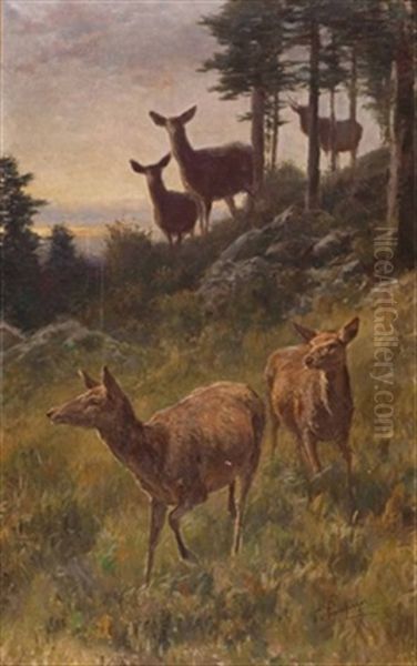 Rehe Am Waldrand Oil Painting by Franz Xaver von Pausinger