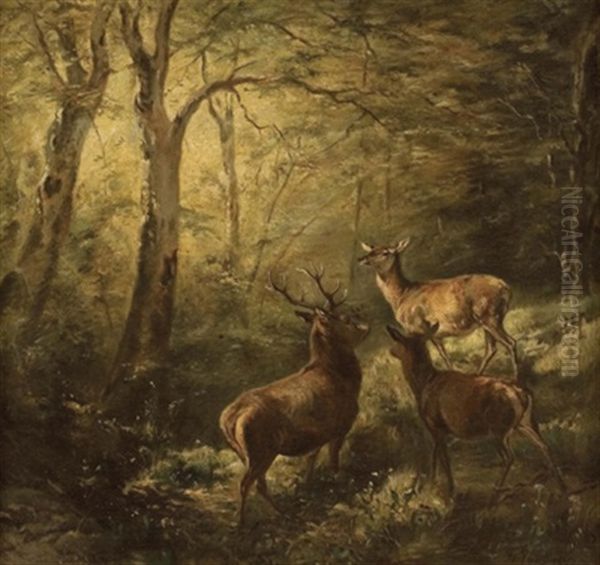 Rotwildfamilie Im Wald Oil Painting by Franz Xaver von Pausinger