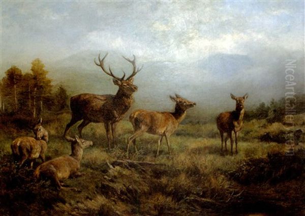 Hirsch Mit Hirschkuhen Am Waldrand Oil Painting by Franz Xaver von Pausinger