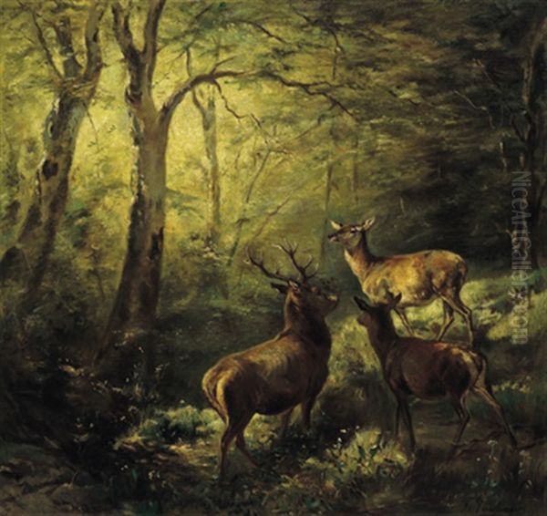 Rotwild Im Waldesinneren Oil Painting by Franz Xaver von Pausinger