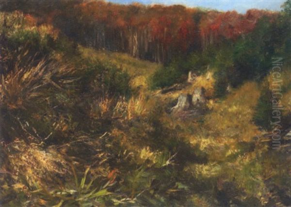 Waldlichtung Im Herbst Oil Painting by Franz Xaver von Pausinger