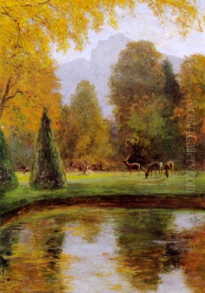 Rotwild Am Weiher Oil Painting by Franz Xaver von Pausinger