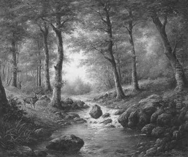 Rotwild Am Bachufer Oil Painting by Franz Xaver von Pausinger