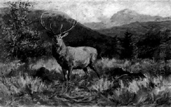 Hirsch Im Gebirge Oil Painting by Franz Xaver von Pausinger