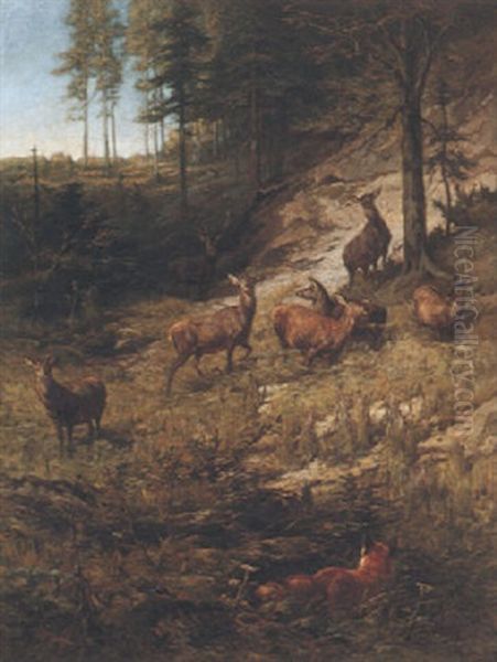 Hirsche Und Fuchs Am Waldhang Oil Painting by Franz Xaver von Pausinger