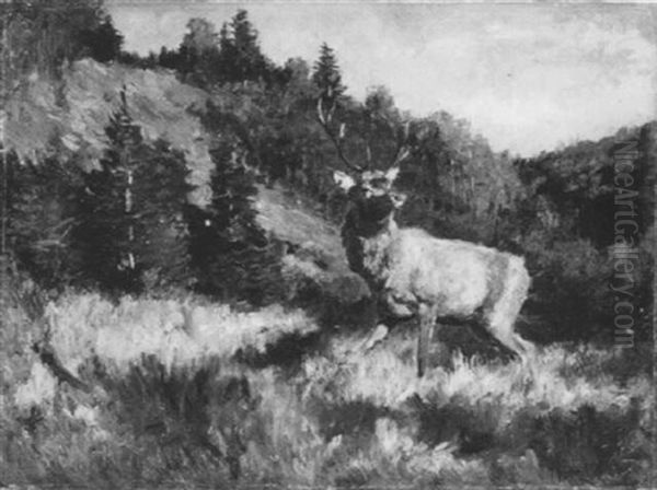 Junger Hirsch Oil Painting by Franz Xaver von Pausinger