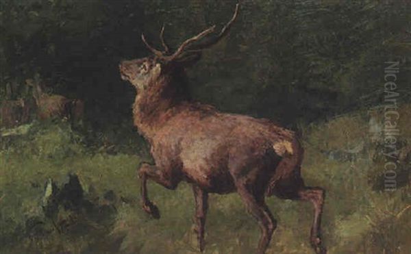 Hirschbrunft Oil Painting by Franz Xaver von Pausinger