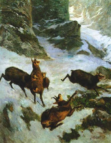 Fluchtiges Gamsrudl In Hochgebirge Oil Painting by Franz Xaver von Pausinger