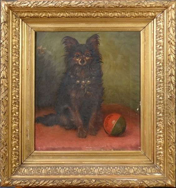 Portrait Du Chien Mouche Oil Painting by Robert De Pauw