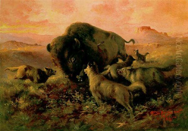 The Wounded Buffalo Oil Painting by Edgar Samuel Paxson