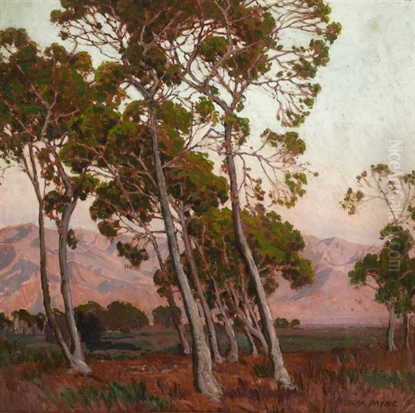 Trees Along The Foothills Oil Painting by Edgar Alwin Payne