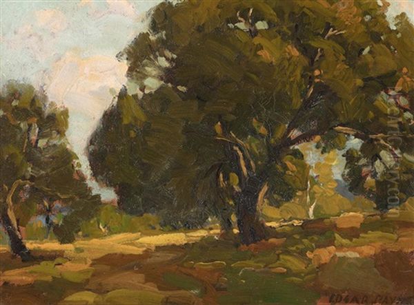 Trees Oil Painting by Edgar Alwin Payne