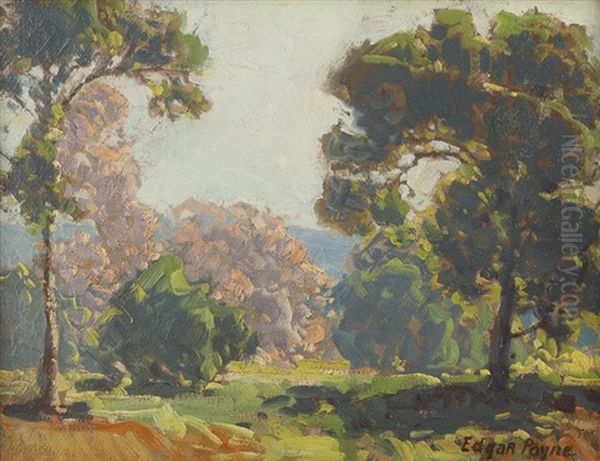 Spring Landscape With Trees Oil Painting by Edgar Alwin Payne