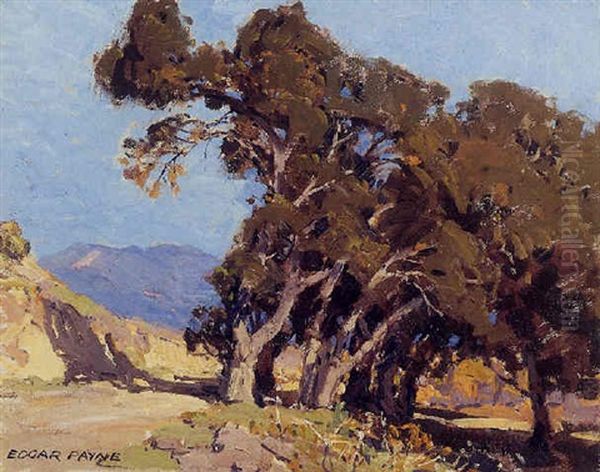 A Group Of Trees On A California Hillside Oil Painting by William Payne