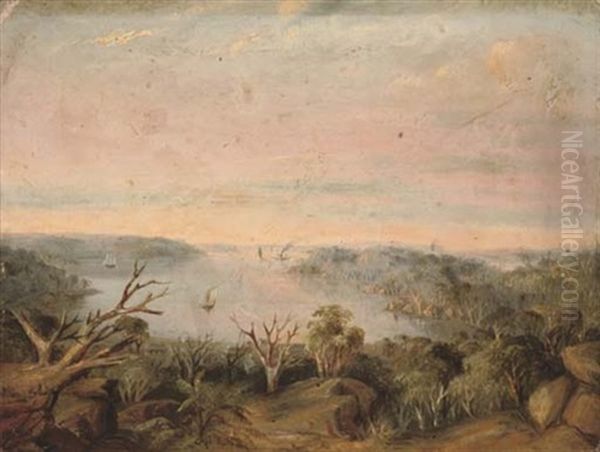 View From Above Double Bay With Middle Head And North Head In The Distance Oil Painting by George Edwards Peacock