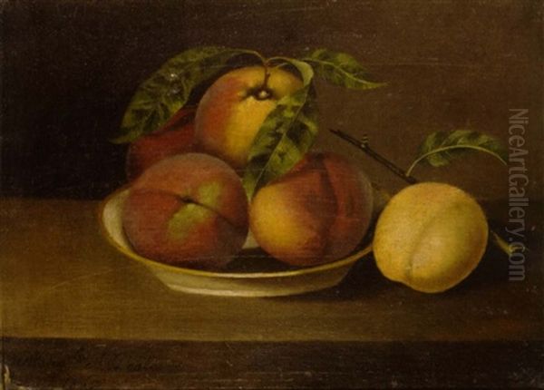 Still Life With Peaches Oil Painting by Margaretta Angelica Peale