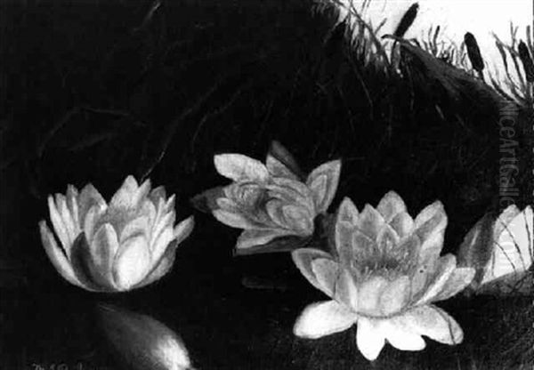 Water Lilies Oil Painting by Mary Jane Peale