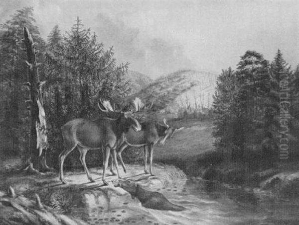 Moose At River's Edge Oil Painting by Titian Ramsay Peale