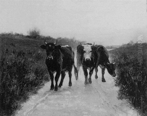 Cows On A Roadway by William Houghton Sprague Pearce