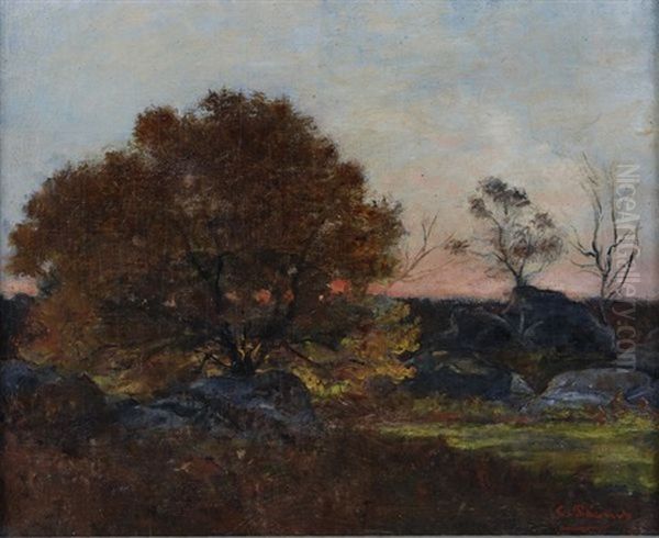 Paysage Soleil Couchant Oil Painting by Charles Francois Pecrus