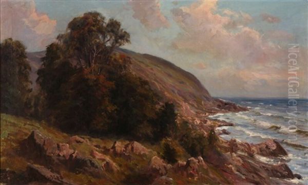 Pink Clouds Over A Rocky Coast Oil Painting by Viggo Pedersen