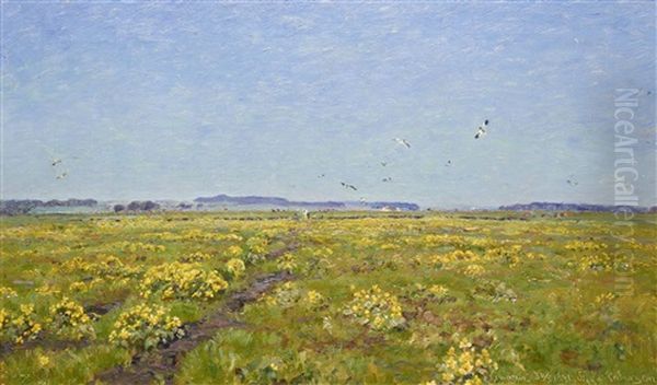 Field With Yellow Flowers Oil Painting by Viggo Pedersen