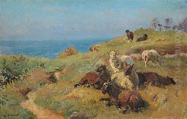 Sheeps In The Field With The Sea In The Background Oil Painting by Viggo Pedersen