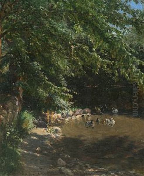 Sunny Afternoon At A Pond Oil Painting by Viggo Pedersen