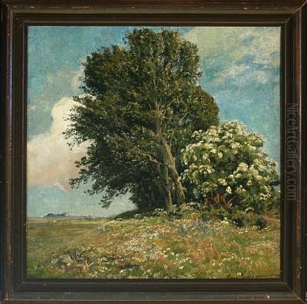 Landscape With Field Flowers, Trees And Shrubs Oil Painting by Viggo Pedersen