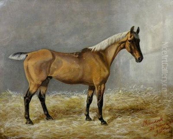 Portrait Of The Race Horse Shamrock Oil Painting by J.W. Blow