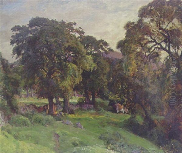 Aftensolen Falder In Mellem Traeerne Oil Painting by Viggo Pedersen