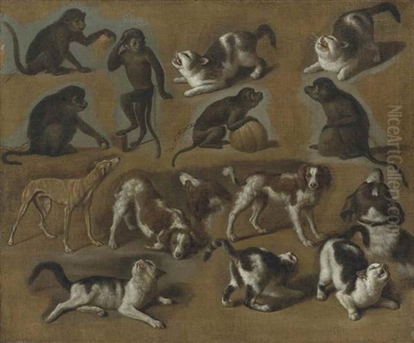 A Study Of Cats, Monkeys And Dogs Oil Painting by Jan Van Pee