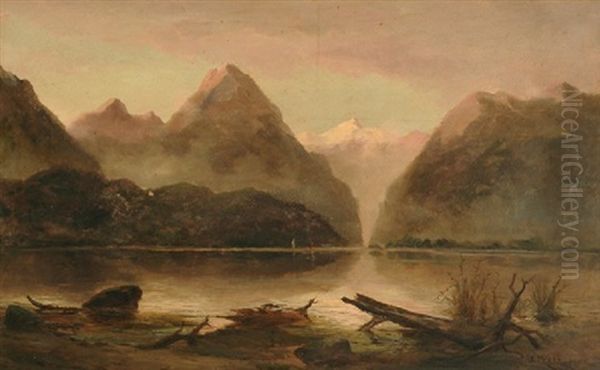 Black Rock, Smith's Sound, New Zealand Oil Painting by James Peele