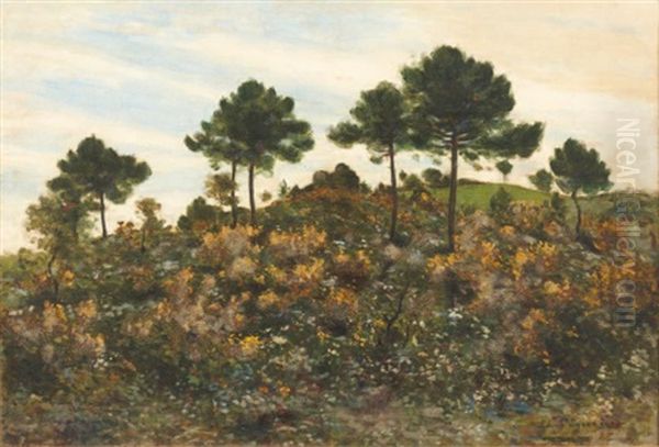 Chemin En Bordure De Foret A Ramatuelle Oil Painting by Auguste Pegurier