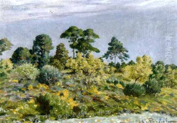 Les Pins Parasols Oil Painting by Auguste Pegurier