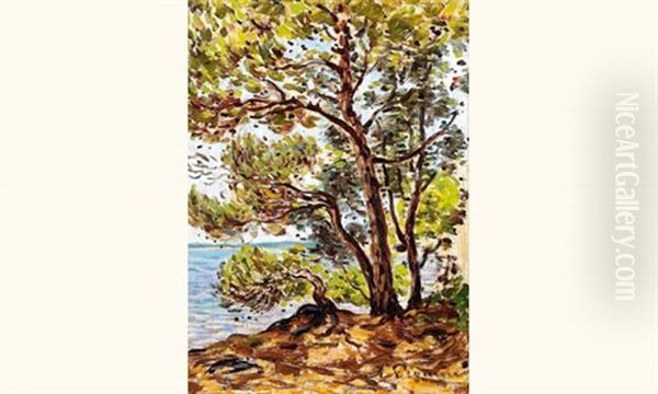 Arbres En Bordure De Mer Oil Painting by Auguste Pegurier