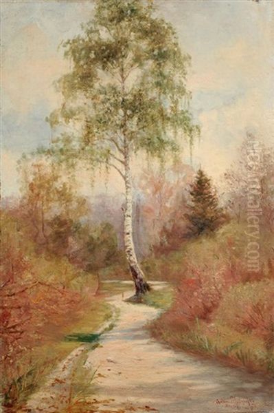 Sonniger Waldweg Mit Birke Oil Painting by Adam Pelcynski