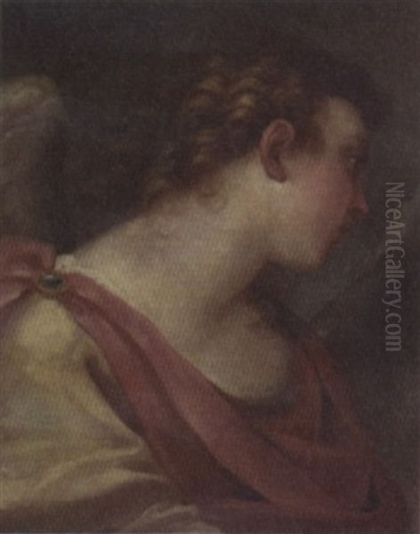 Head Of An Angel Oil Painting by Giovanni Antonio Pellegrini