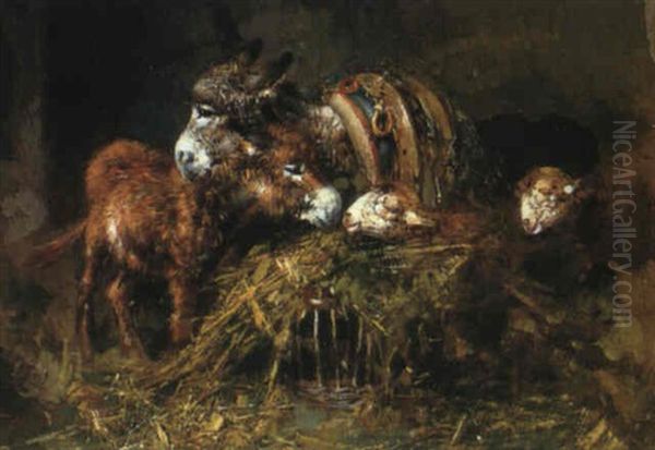 Donkeys And Sheep In A Stable Oil Painting by Tito Pellicciotti