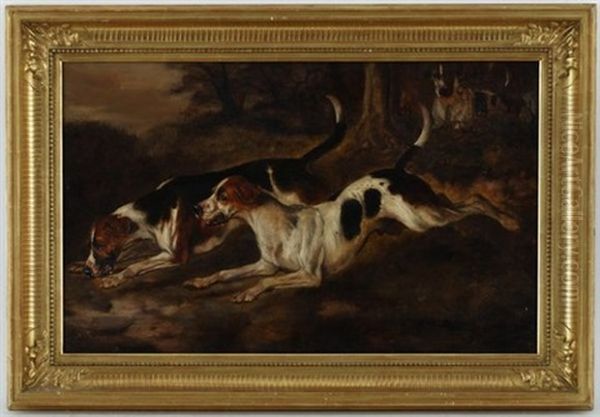 Chiens De Chasse Oil Painting by Olivier de Penne