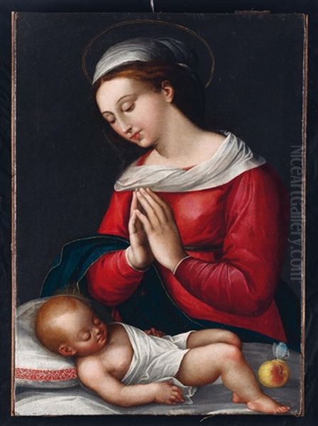 Madonna Con Il Bambino Oil Painting by Giovanni Francesco Penni